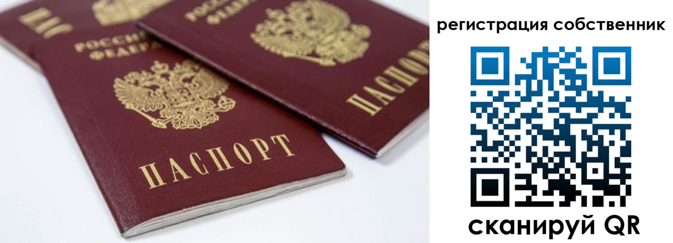 прописка для школы в Валдае